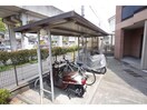  グランドール　ヒメジ
