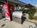 グランドール　ヒメジ