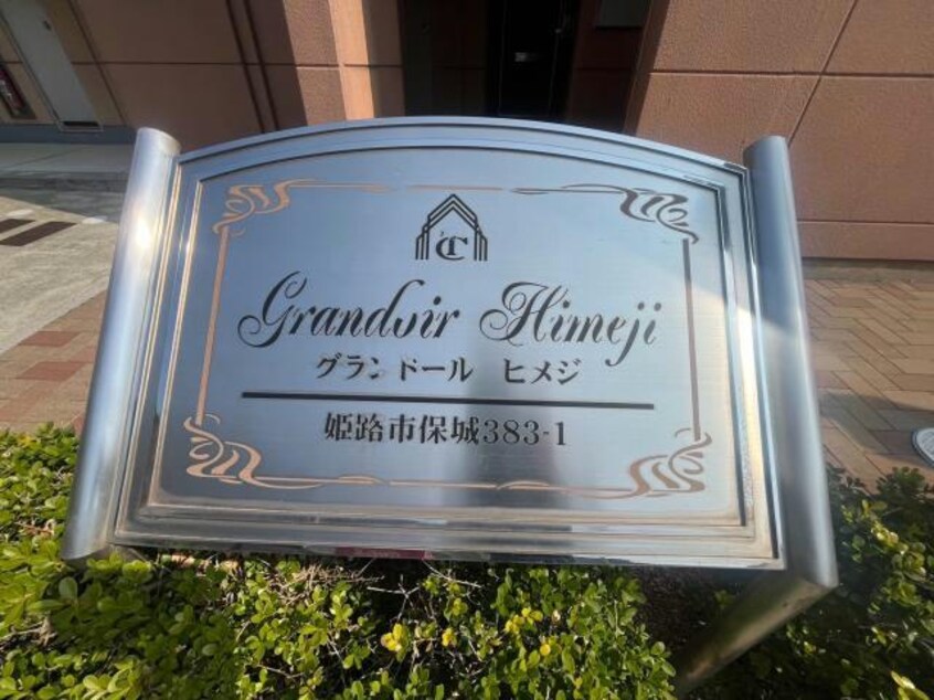  グランドール　ヒメジ