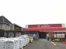 ホームセンタージュンテンドー書写店(電気量販店/ホームセンター)まで1420m アバンダント