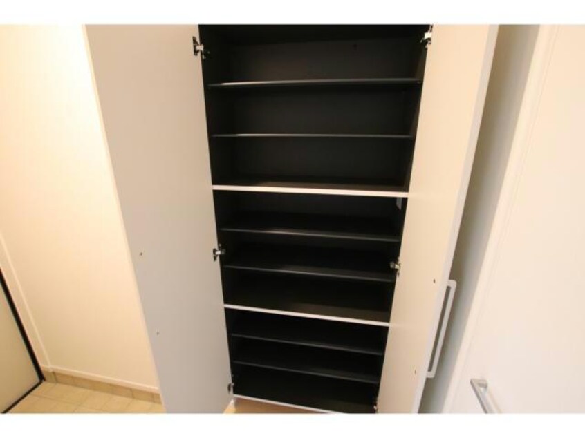  フォーチュナリー・コックスⅡ