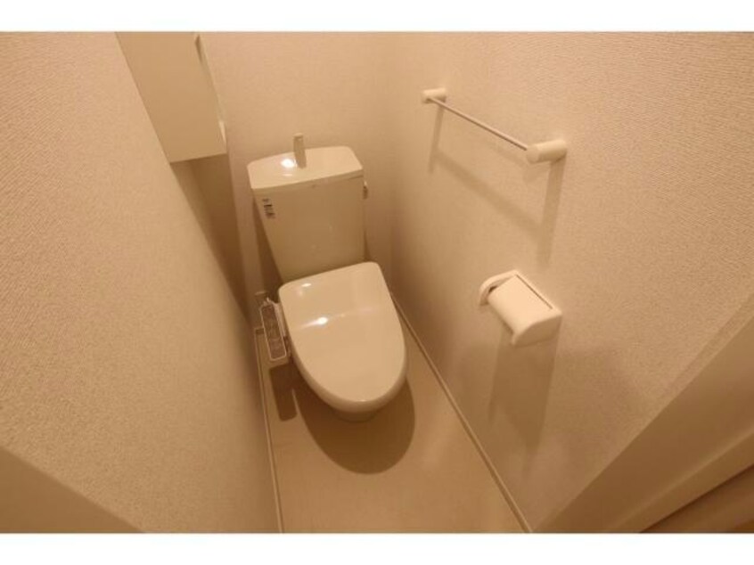  フォーチュナリー・コックスⅡ