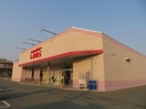 ファッションセンターしまむら田寺店(ショッピングセンター/アウトレットモール)まで1019m シャーメゾン大道