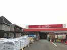 ホームセンタージュンテンドー書写店(電気量販店/ホームセンター)まで663m シャーメゾン大道