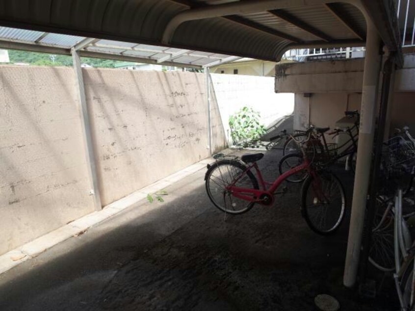  ソルテリアユタカ