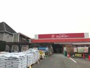 ホームセンタージュンテンドー書写店(電気量販店/ホームセンター)まで1326m ラフォルテ