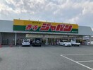 ジャパン香寺店(ディスカウントショップ)まで1010m ベルメゾンＡ