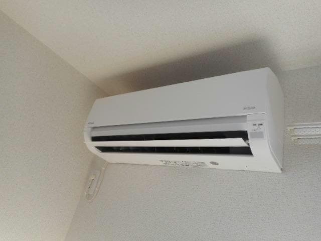  カーサ　アルベロ