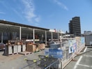 ホームセンターコーナン今宿店(電気量販店/ホームセンター)まで1339m グランディオーズ
