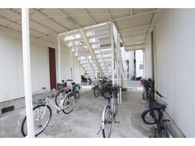  パナハイツウオハシ　N