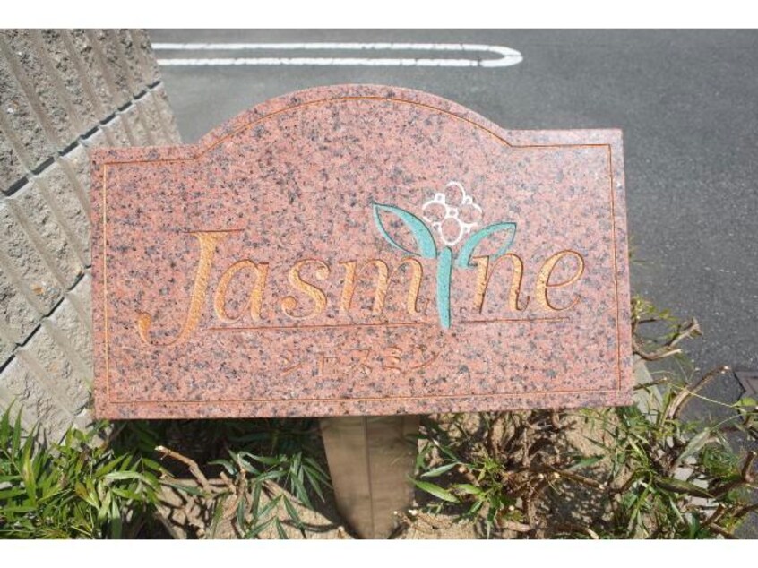  Jasmine