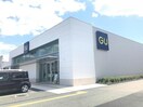 ジーユー姫路花田店(ショッピングセンター/アウトレットモール)まで1993m グランペール古賀
