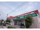 キリン堂白浜店(ドラッグストア)まで2468m プランドール