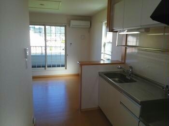  ライラック　グレース