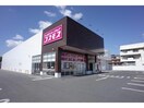ディスカウントドラッグコスモス北今宿店(ドラッグストア)まで370m グリーンヒル今宿　B