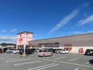 ラ・ムー福崎店(ディスカウントショップ)まで3013m カルムリー溝口駅前