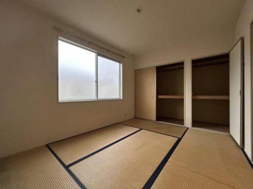  セントポーリア　A