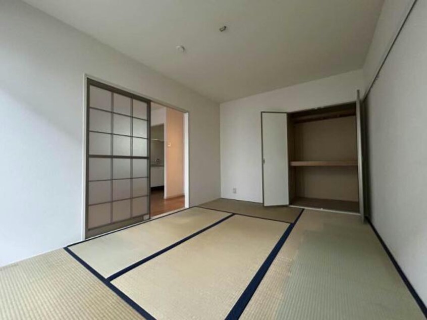  セントポーリア　A