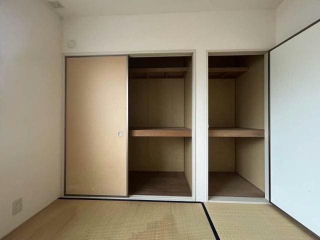  セントポーリア　A