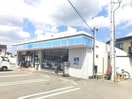 ローソン姫路花田小川店(コンビニ)まで412m ザ・ビレッジグリーン飾東