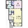 ファンド今宿Ⅱ 1LDKの間取り