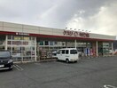 キリン堂豊富店(ドラッグストア)まで1638m アル・グレース