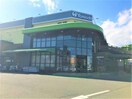 ヤマダストアー新辻井店(スーパー)まで829m アルファステイツ南新在家