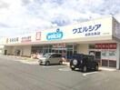 ウエルシア加西北条店(ドラッグストア)まで401m NKヒルズ2