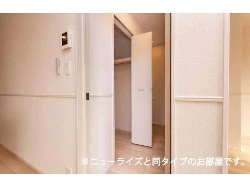  ブロード　マインテッドC