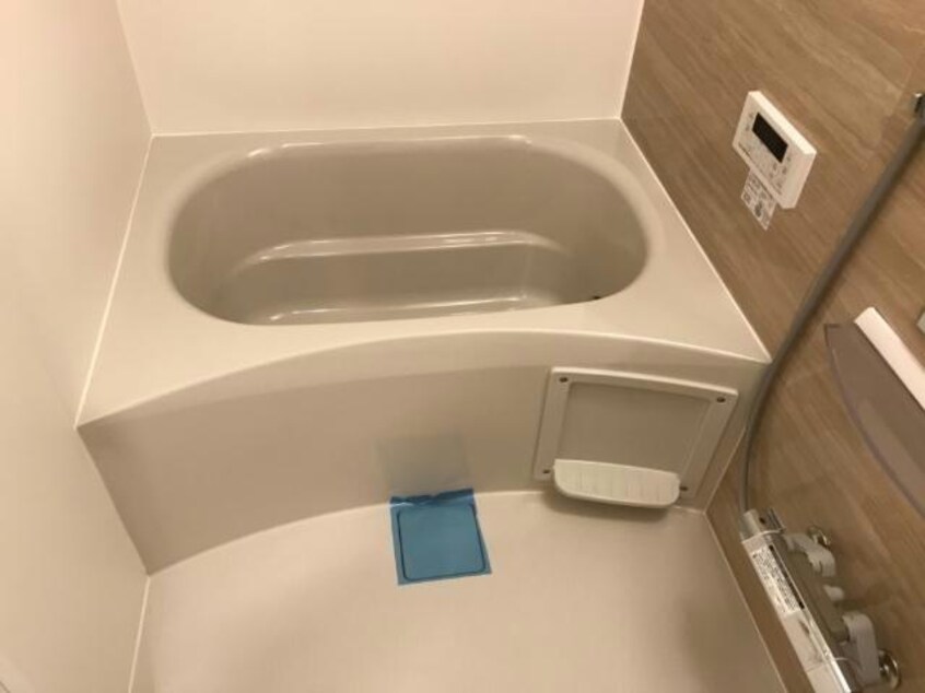  ステラータ