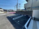  ステラータ