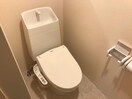  ステラータ