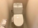  ステラータ