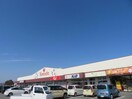 ヤマダストアー花田店(スーパー)まで702m ベル　ソレイユ