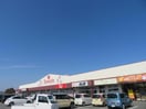 ヤマダストアー花田店(スーパー)まで740m カミーノ　オタンタトレ　Ⅰ