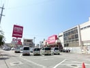 マックスバリュ新川店(スーパー)まで1256m カーサティエラ