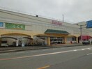 丸久厚狭店(スーパー)まで1167m リバーサイドＭ　Ａ