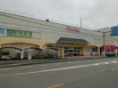 丸久厚狭店(スーパー)まで1500m CORSO（コルソ）Ａ、Ｂ