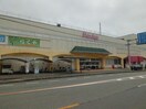 丸久厚狭店(スーパー)まで785m メゾン・アムール　Ｄ