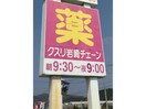 クスリ岩崎チェーンイオン小野田店(ドラッグストア)まで1134m ティーインプレス１番館