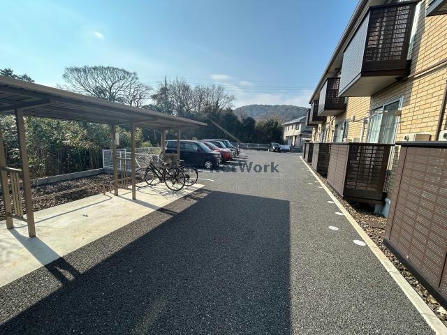 ボニータ理科大