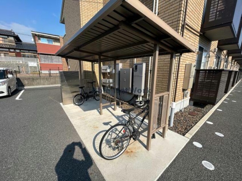  ボニータ理科大