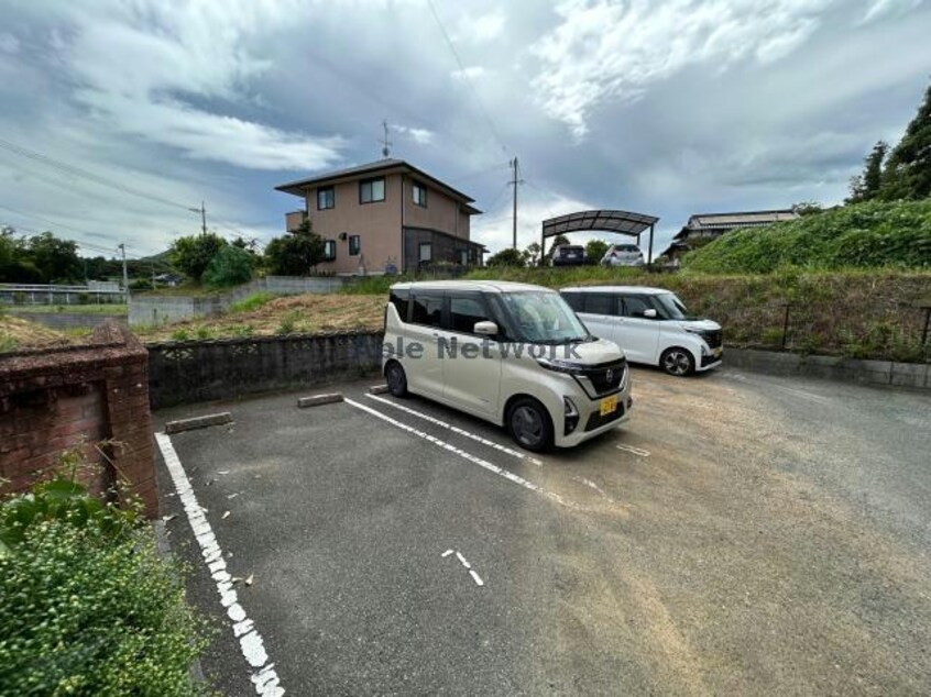  ヴィーナス