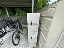  ヴィーナス