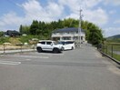  ヴィーナス