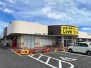 ダイソーリブホール小野田店(ディスカウントショップ)まで2516m カサベルテ浜河内Ⅱ