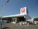 コメリハード＆グリーン厚狭店(電気量販店/ホームセンター)まで805m ベルエキップ