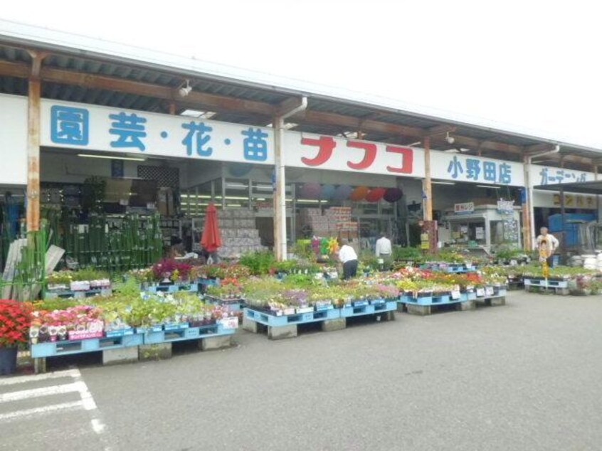 ホームプラザナフコ小野田店（本館）(電気量販店/ホームセンター)まで2377m パルジェ