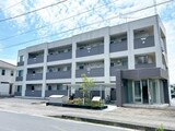 KAMISAKURA