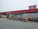 ホームセンタージュンテンドー厚狭店(電気量販店/ホームセンター)まで774m KAMISAKURA